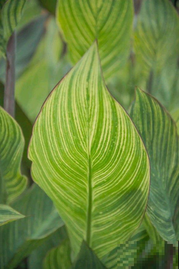 秋日开花多，美景拍下来，留住最美一刻