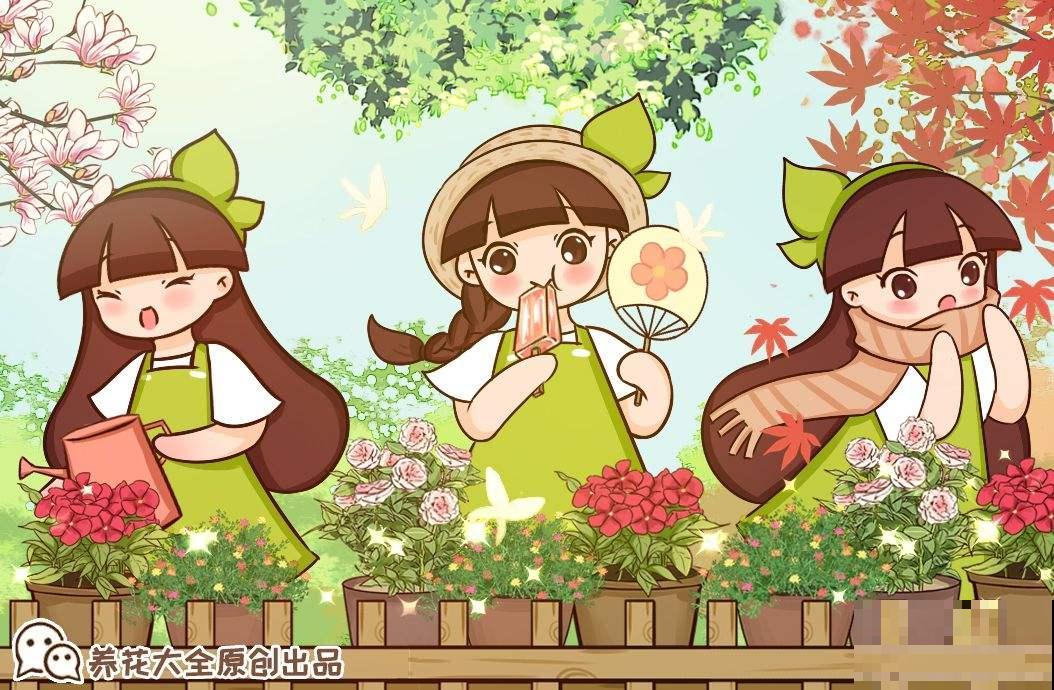 最适合院子种的花，皮实耐寒花期长，好养死不了！