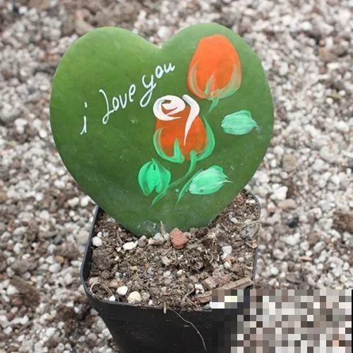 冬天就养耐阴花，没光也能开爆盆，扔角落自己疯长！