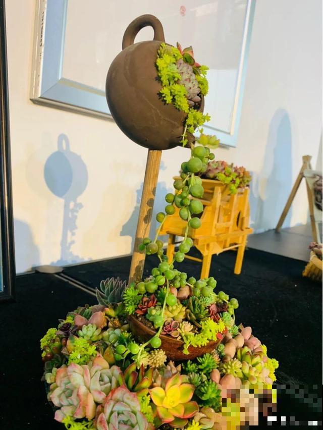 花展上价值好几万的花，看一眼就震撼，太漂亮