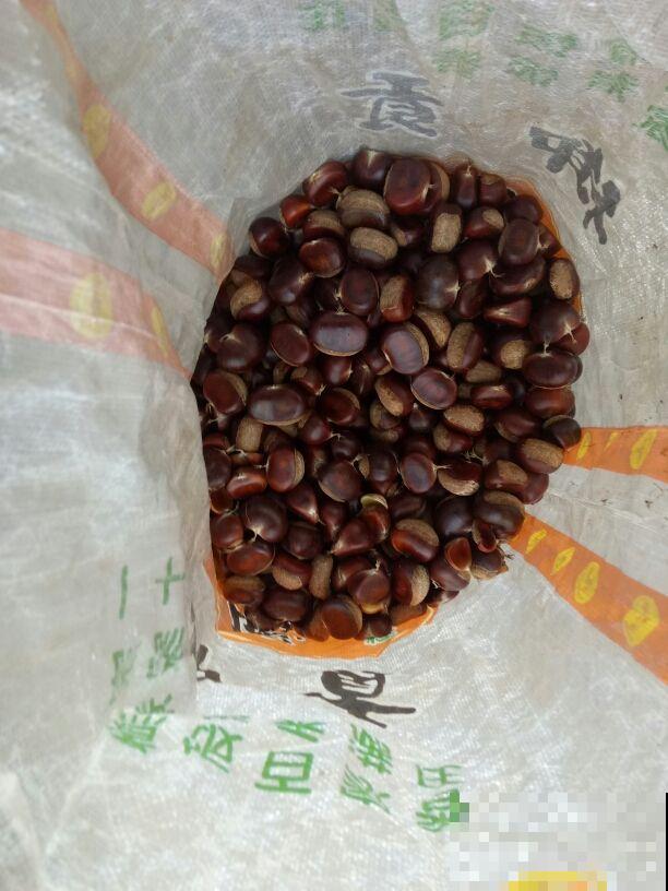 栗子好吃，但是挑选要擦亮眼睛，记住4个要点很重要
