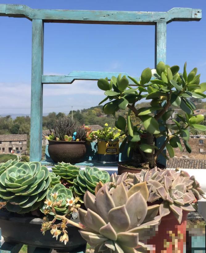 人家拆迁，我捡宝贝，花盆大缸……随便拿！