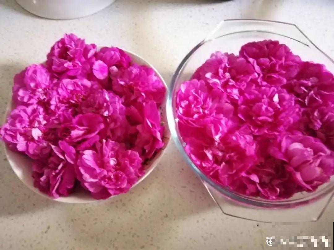 7种花,是天然染色剂,在古代非常名贵! 7种花,是天然染色剂,在古代非常名贵!