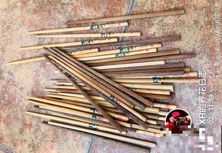 旧筷子、塑料瓶都别丢，拿来养花，效果特好！