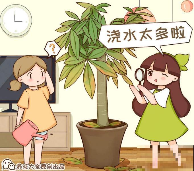 给花浇水特简单，用这3种方法，怎么浇都不积水！