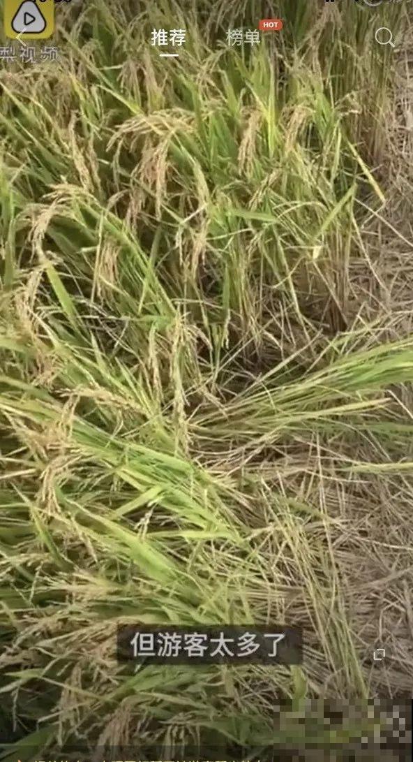 假期出门玩，遇到不文明行为，必须曝光！