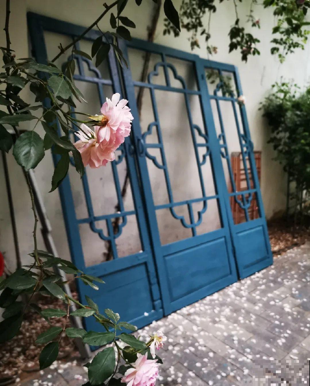 人家拆迁，我捡宝贝，花盆大缸……随便拿！