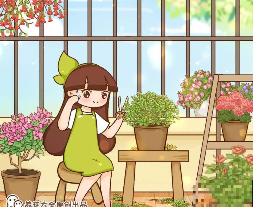 这5种花不抗冻，趁早搬进室内，暖暖活活过秋冬！