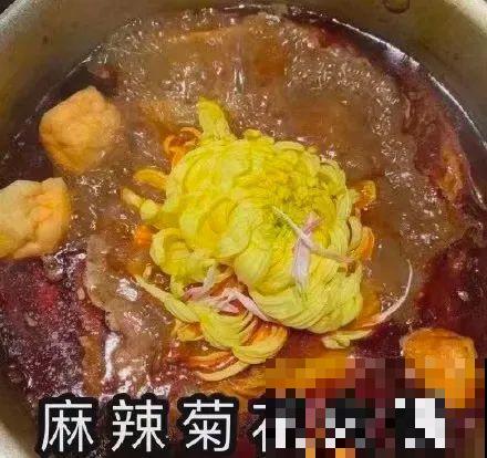 家养的花，开败之后还能炖，一点也不亏