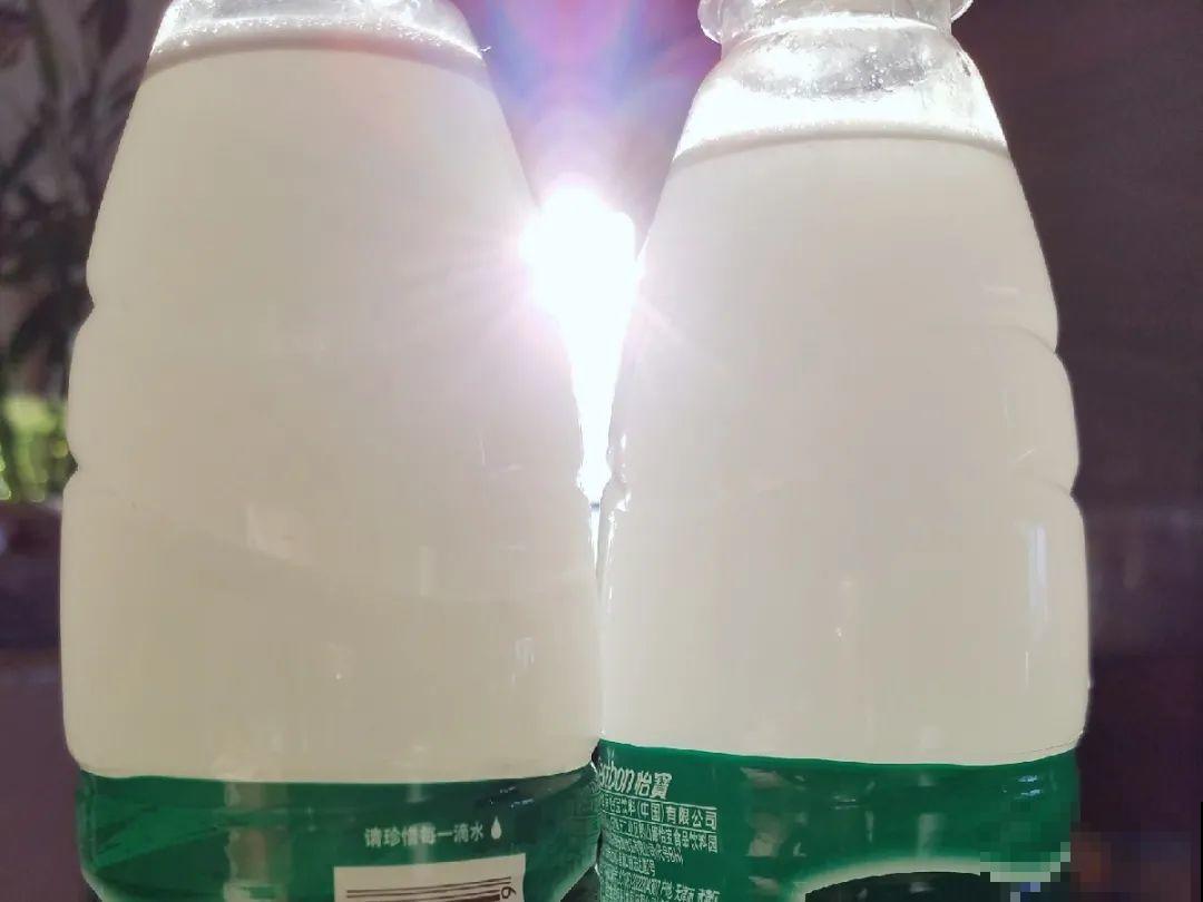 不敢用淘米水了,浇完花就死,土里都是虫! 不敢用淘米水了,浇完花就死,土里都是虫!