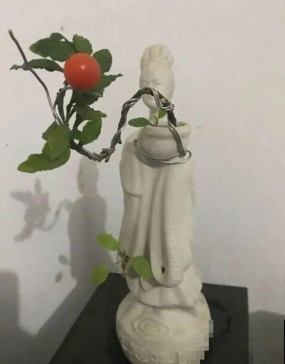 酒瓶子别丢掉,那可是种花神器,省了一笔买花钱 酒瓶子别丢掉,那可是种花神器,省了一笔买花钱