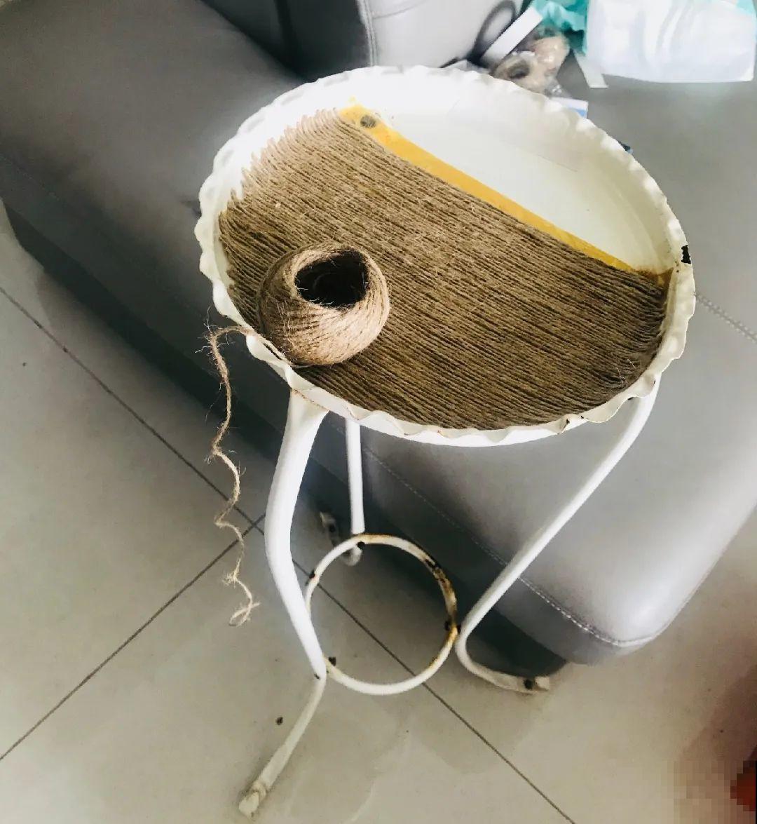 人家拆迁，我捡宝贝，花盆大缸……随便拿！