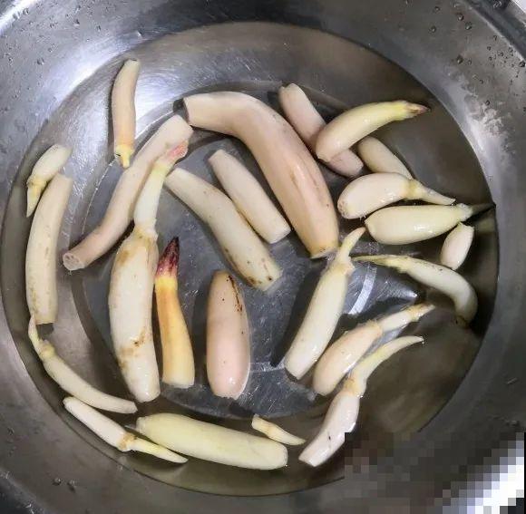 家养的花，开败之后还能炖，一点也不亏