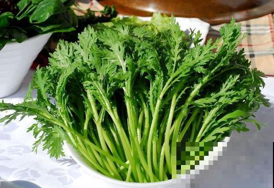 茼蒿菜这样养，一年四季不愁吃，特省钱！