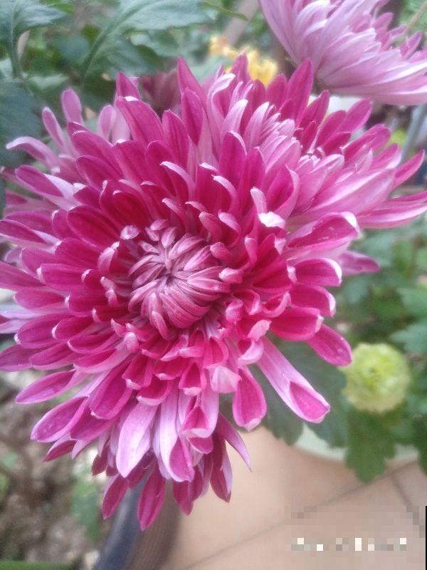 6个生活小技巧，记住一半，越过越幸福