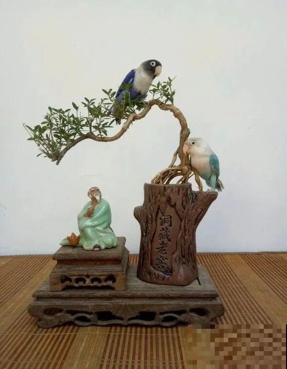 酒瓶子别丢掉,那可是种花神器,省了一笔买花钱 酒瓶子别丢掉,那可是种花神器,省了一笔买花钱