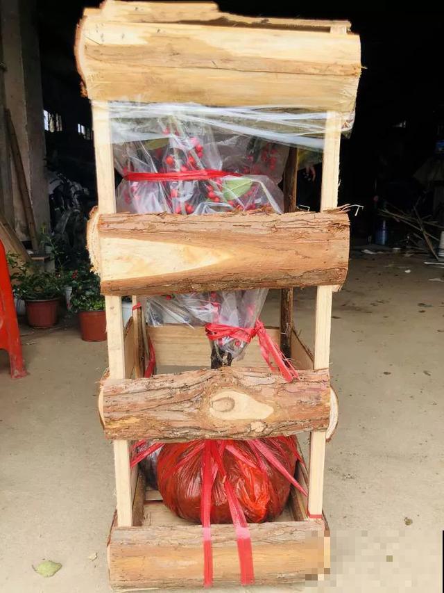 不怕冷的花,越冻越红火,大冬天照样活 不怕冷的花,越冻越红火,大冬天照样活