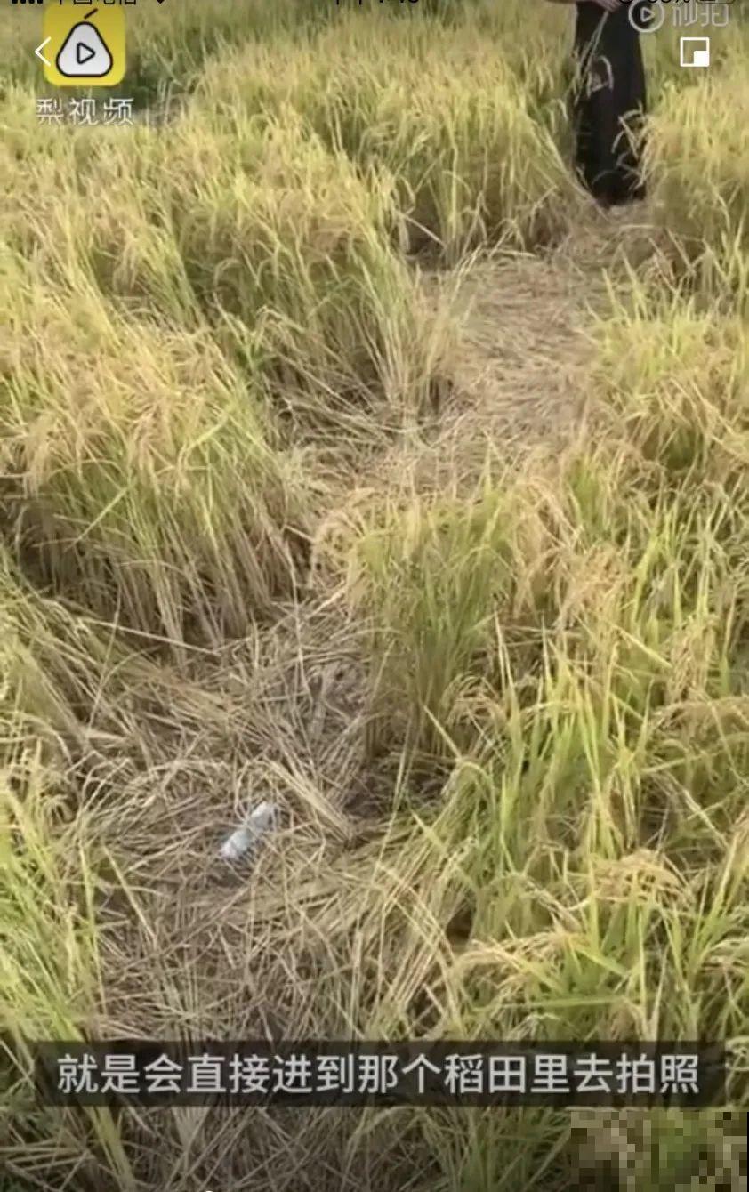 假期出门玩，遇到不文明行为，必须曝光！