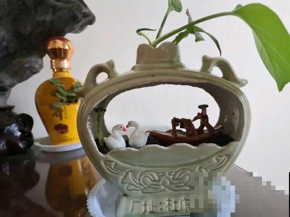 酒瓶子别丢掉,那可是种花神器,省了一笔买花钱 酒瓶子别丢掉,那可是种花神器,省了一笔买花钱