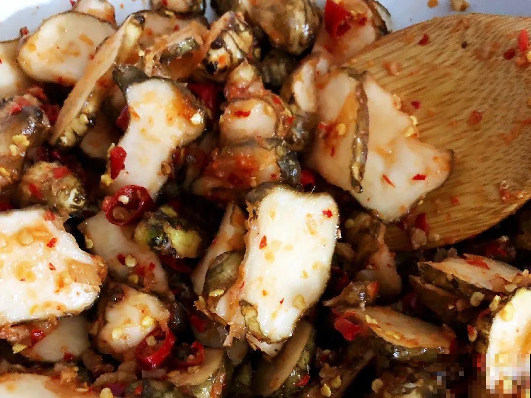 白菜在家养了8年,养成了老桩,长得可旺盛! 白菜在家养了8年,养成了老桩,长得可旺盛!