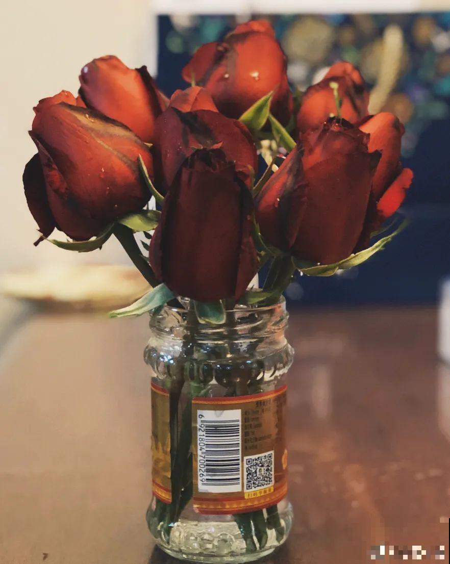 垃圾桶也能养花，扦插种菜样样行，省了不少买盆钱