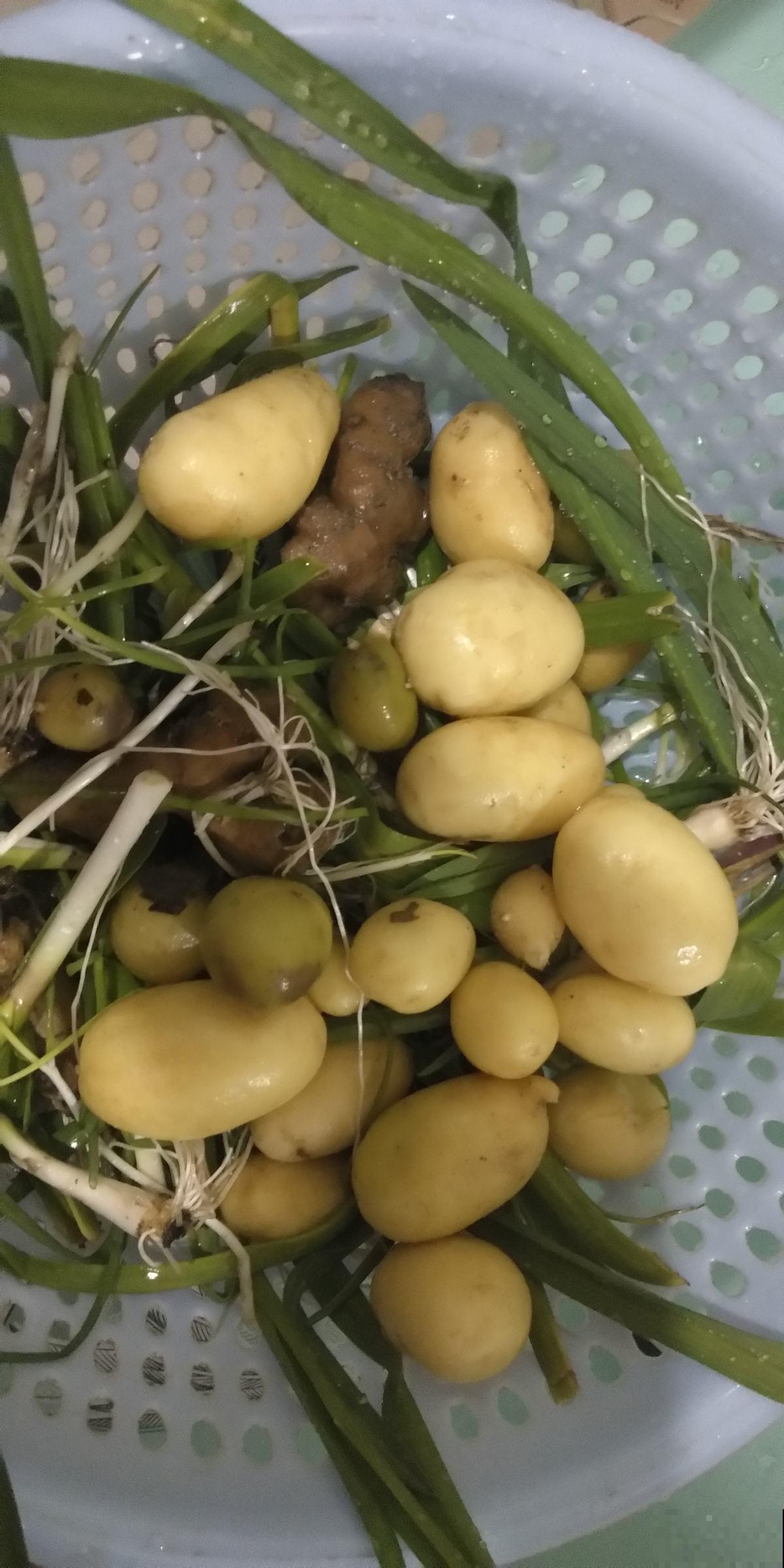 厨房油腻难清理，用橘子皮擦洗，很快光亮如新