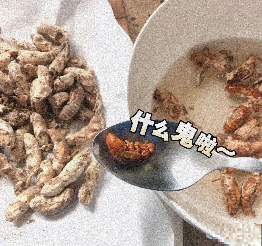 花盆里挖出一堆“蚕”，原来还能吃，味道清脆爽口