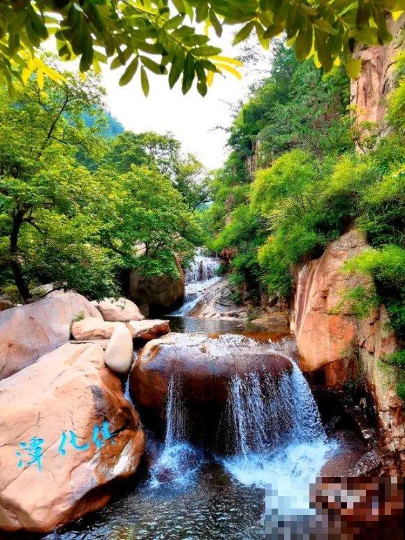 秋日开花多，美景拍下来，留住最美一刻