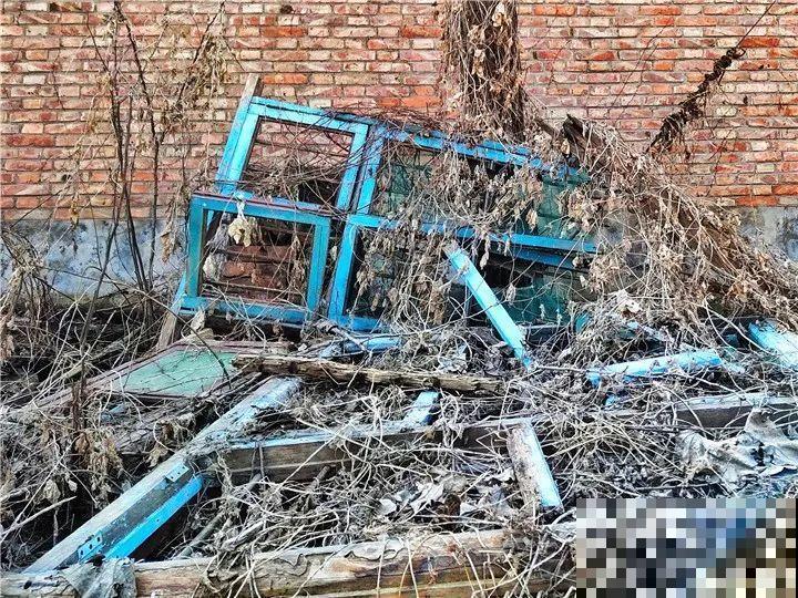 人家拆迁，我捡宝贝，花盆大缸……随便拿！