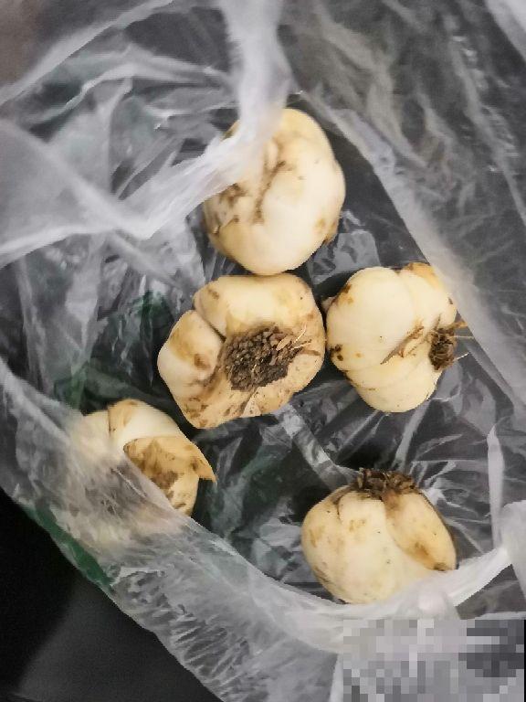梨子的不同吃法，适合秋天食用，润肺生津还养生