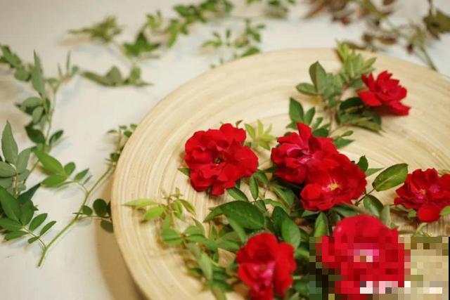 月季别剪了，剪完一杆全黑，今年都白养！