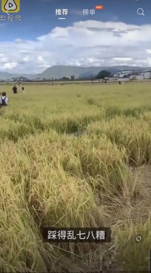 假期出门玩，遇到不文明行为，必须曝光！