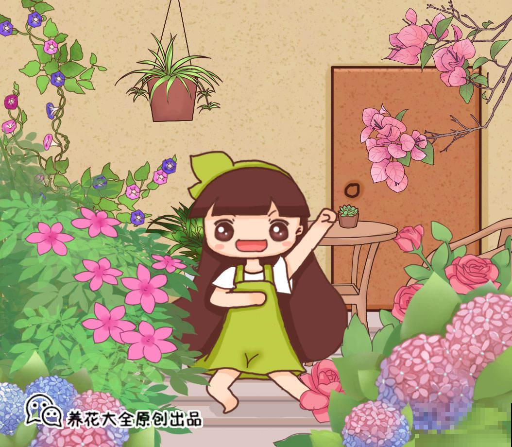 黄花菜不能吃？错了！很有可能你是把它们俩弄混了！