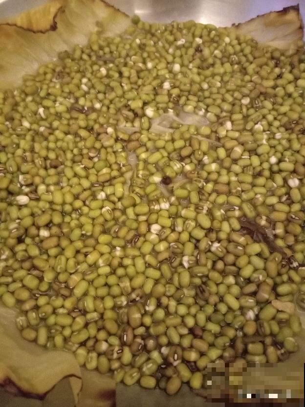 4种花晒干，塞到枕头里，夜夜安稳睡的香