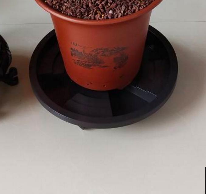 给花浇水特简单，用这3种方法，怎么浇都不积水！