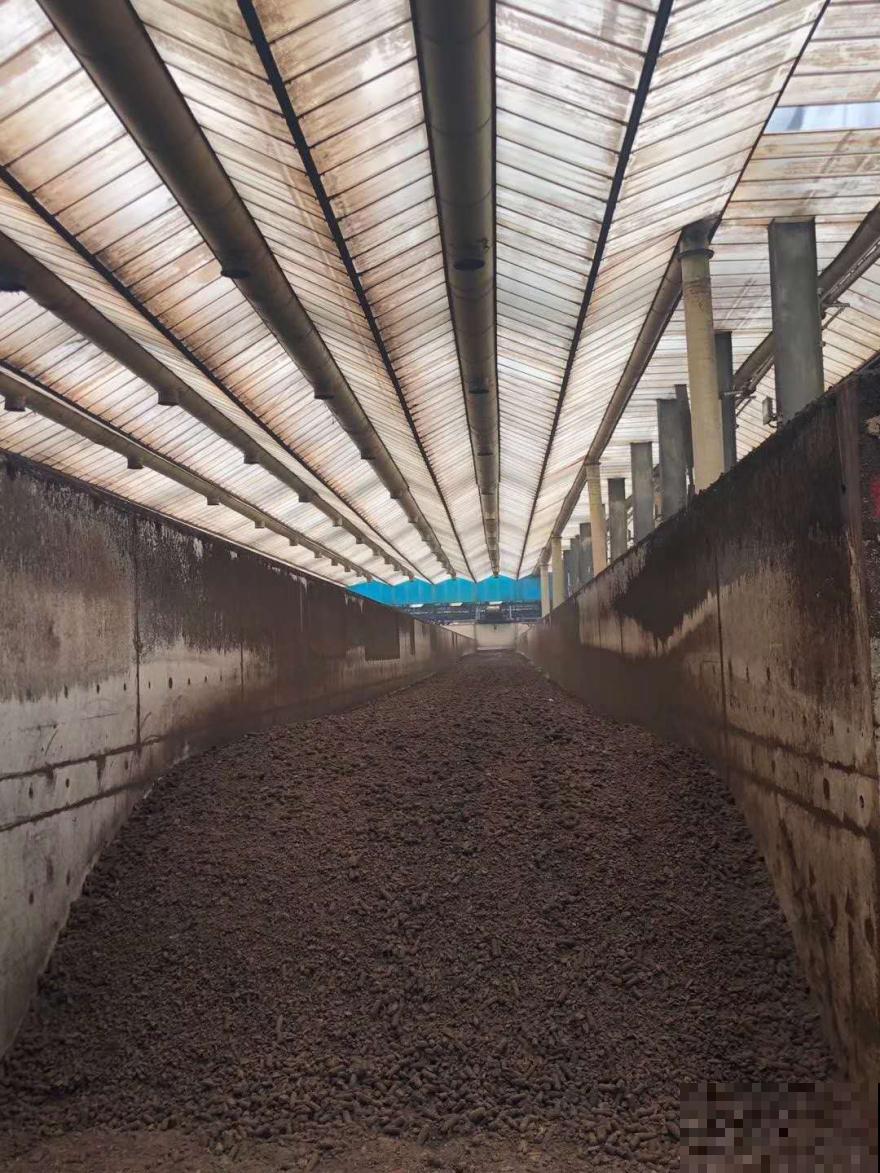 最好用的养花肥，盆里撒一把，1年不用换盆了！