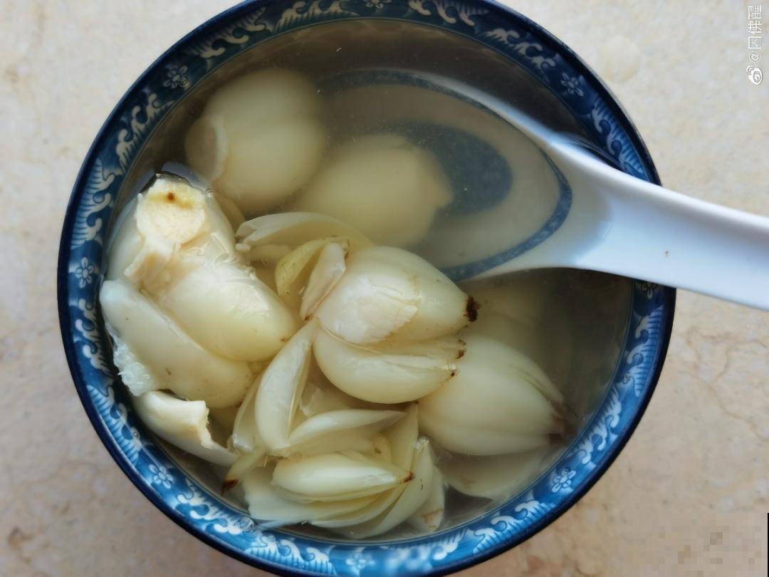 家养的花，开败之后还能炖，一点也不亏