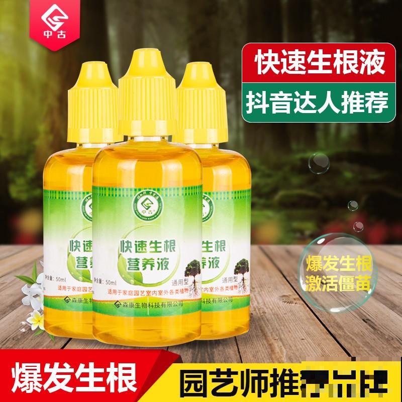 吃完的菠萝别扔，栽到土里还能活，养上几年能结果！