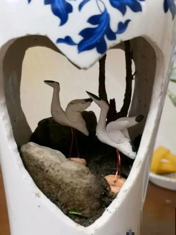 酒瓶子别丢掉,那可是种花神器,省了一笔买花钱 酒瓶子别丢掉,那可是种花神器,省了一笔买花钱