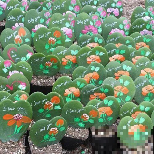 冬天就养耐阴花，没光也能开爆盆，扔角落自己疯长！