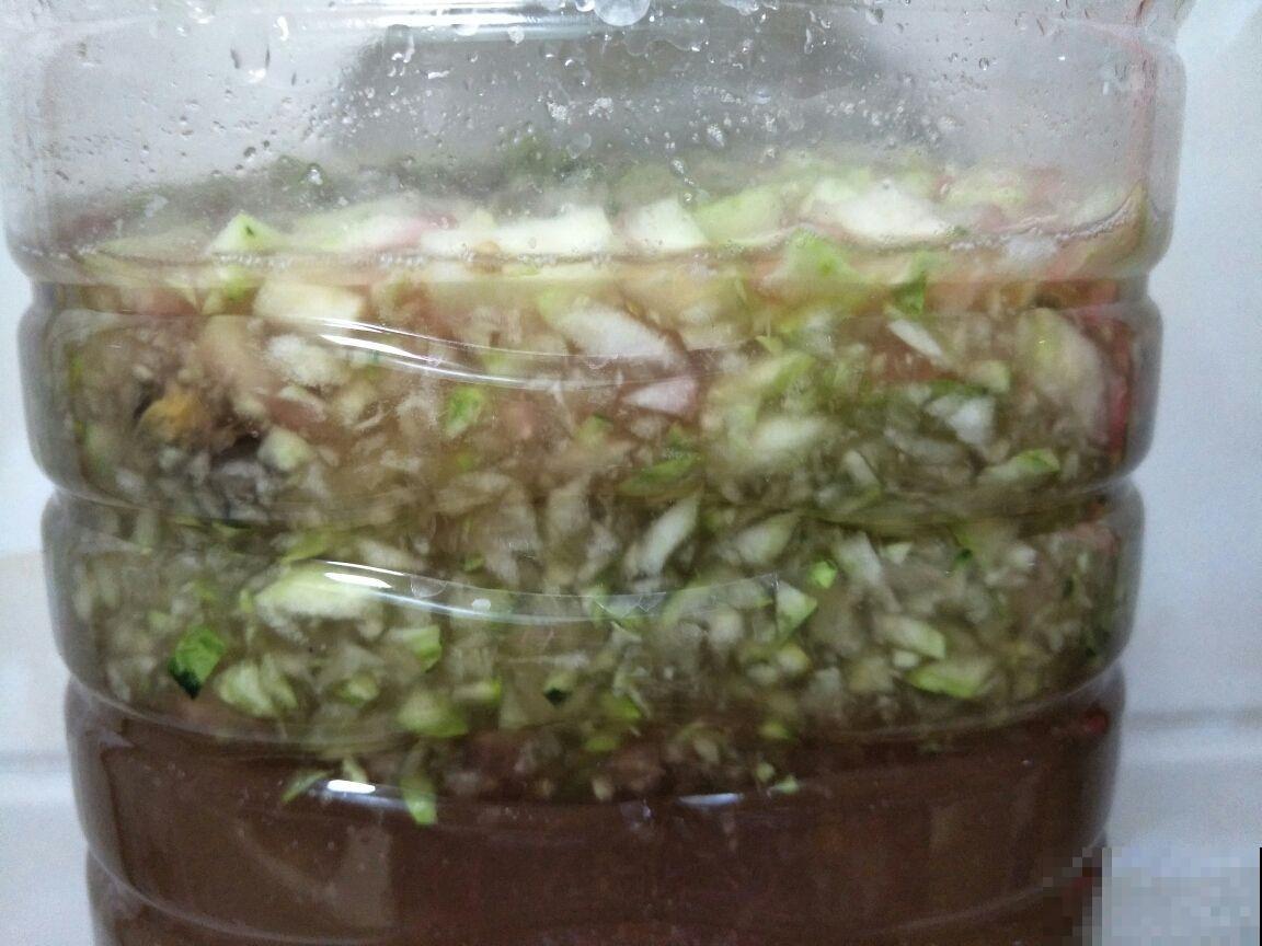 养花要注重花盆，华而不实的不能用，透气好才最重要