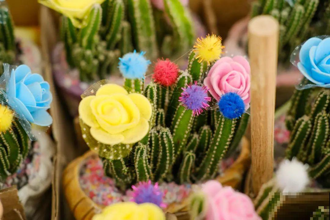 逛花市必买的花，十月入手刚刚好，不买亏大了！