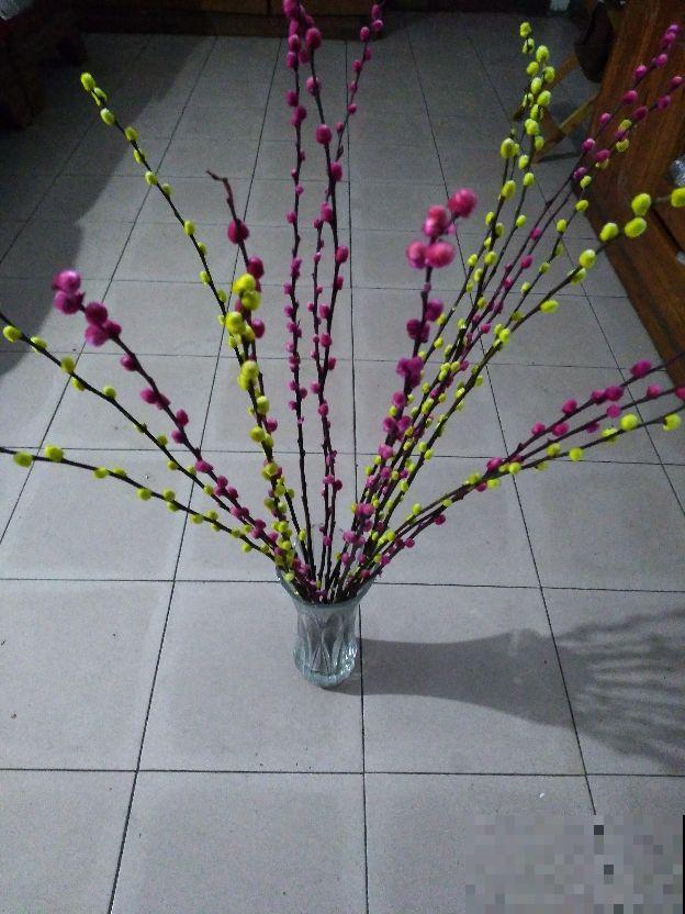 3种花特难养，不如直接插瓶里，更容易养护