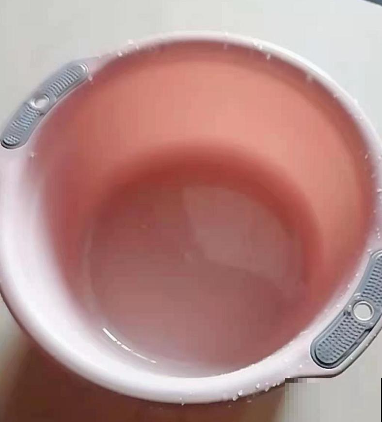 养花如何增加空气湿度？4个小妙招，省下空气加湿器的钱！