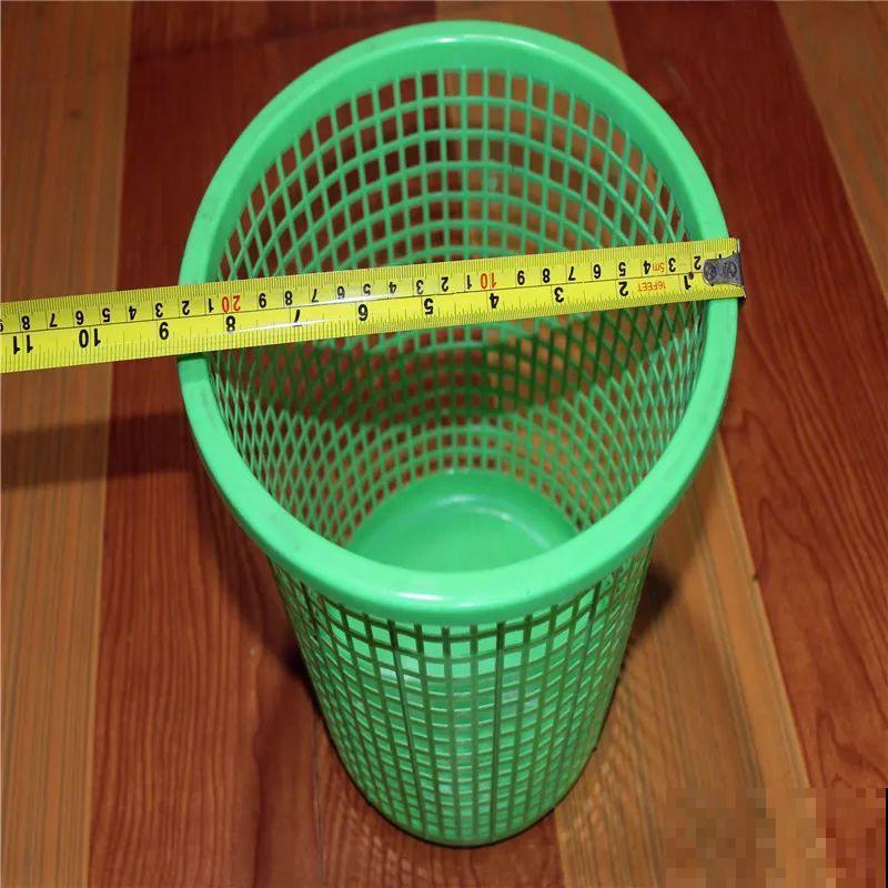 垃圾桶也能养花，扦插种菜样样行，省了不少买盆钱