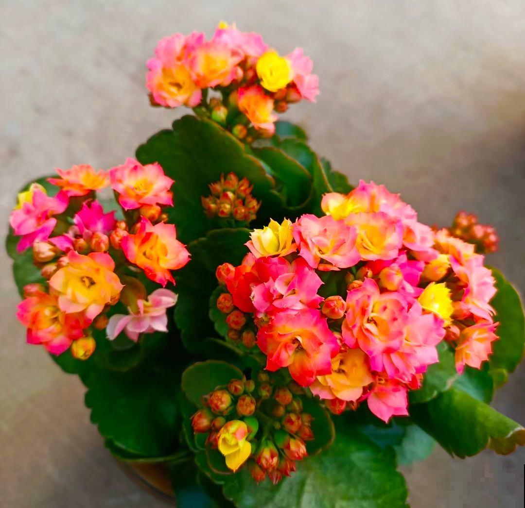 6个生活小技巧，记住一半，越过越幸福