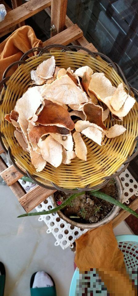 吃剩的果皮不要丢,水里浸泡一天一夜,用来浇花效果超好 吃剩的果皮不要丢,水里浸泡一天一夜,用来浇花效果超好