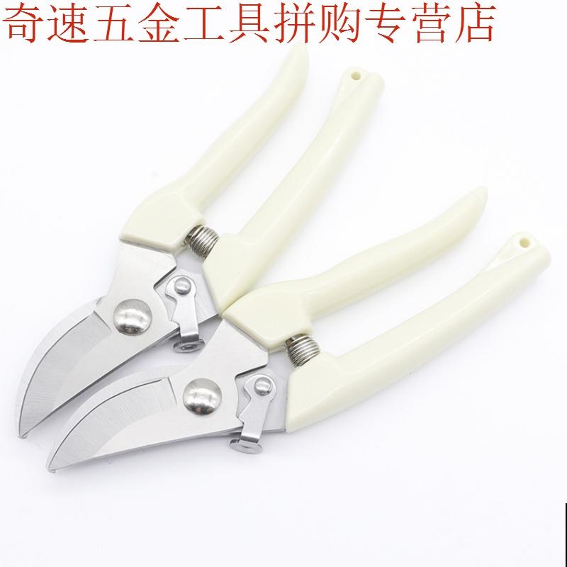 家里养盆钻石翡翠，叶片绿油油，摆在窗边特好看！