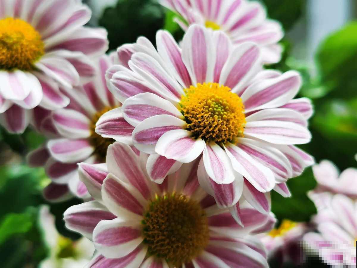 6个生活小技巧，记住一半，越过越幸福