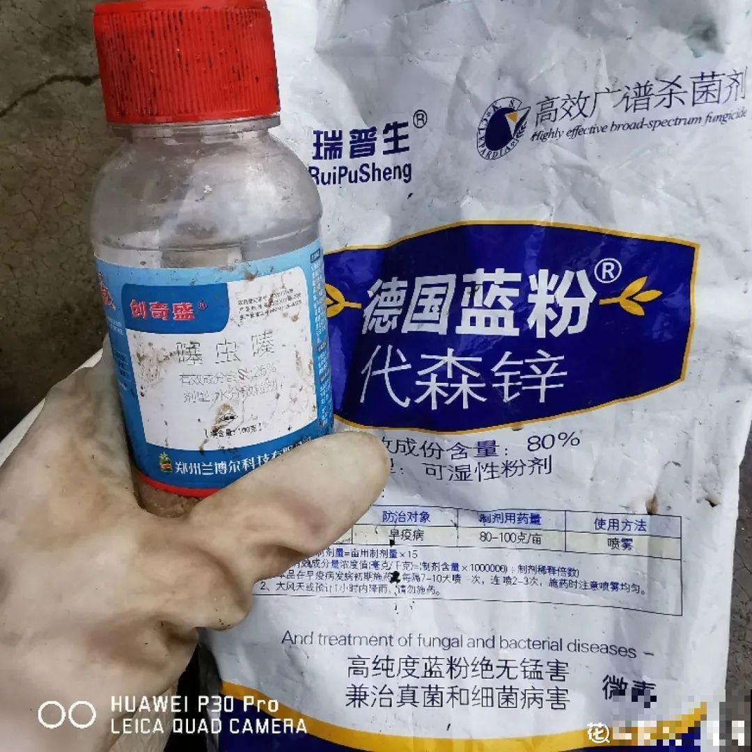 杀虫的好时机到了,虫卵一窝端,来年再也不生虫! 杀虫的好时机到了,虫卵一窝端,来年再也不生虫!